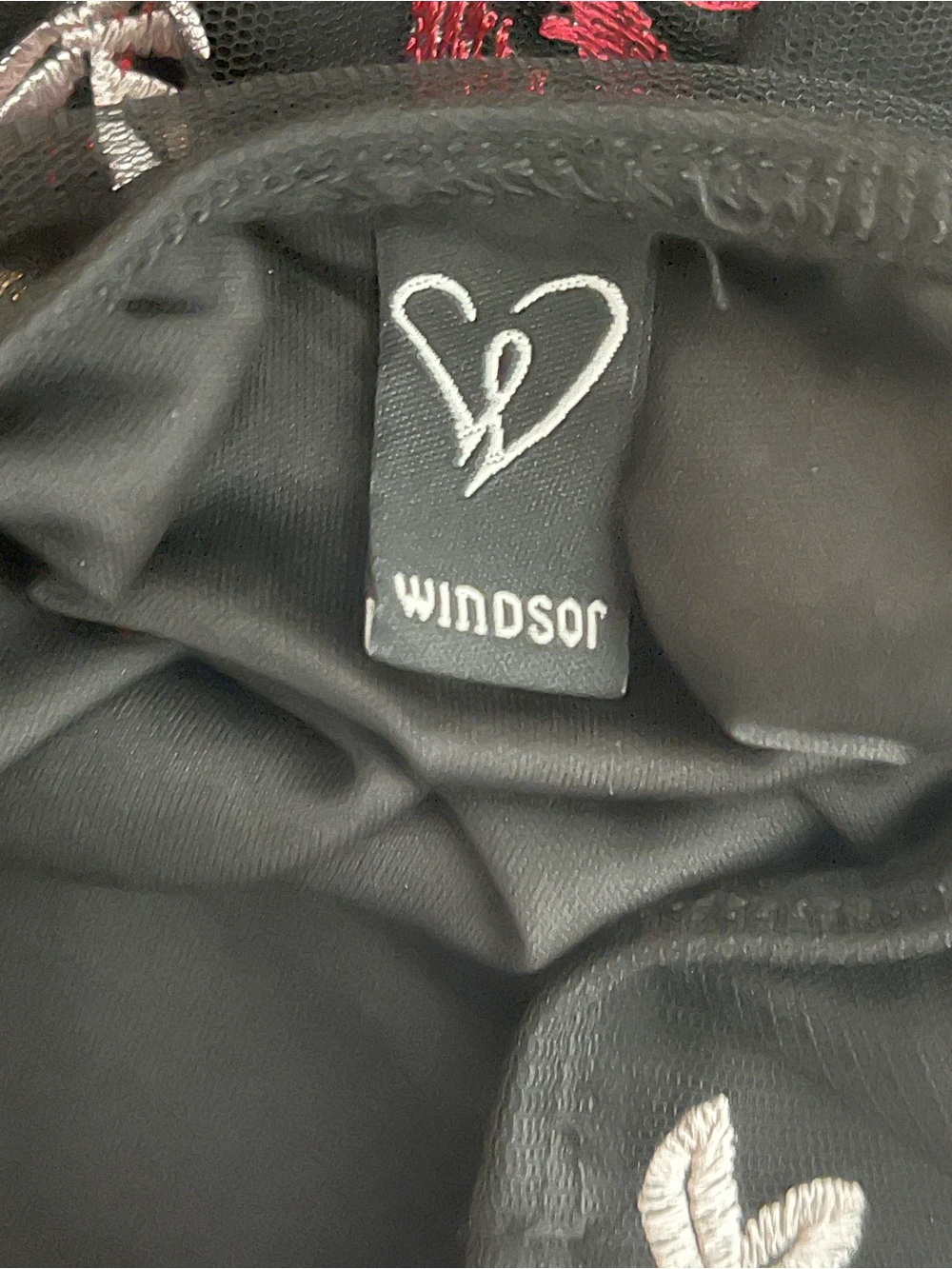 Windsor Black Maxi Dress with Red and Pink Floral Embroidery - Picture 3 of 6